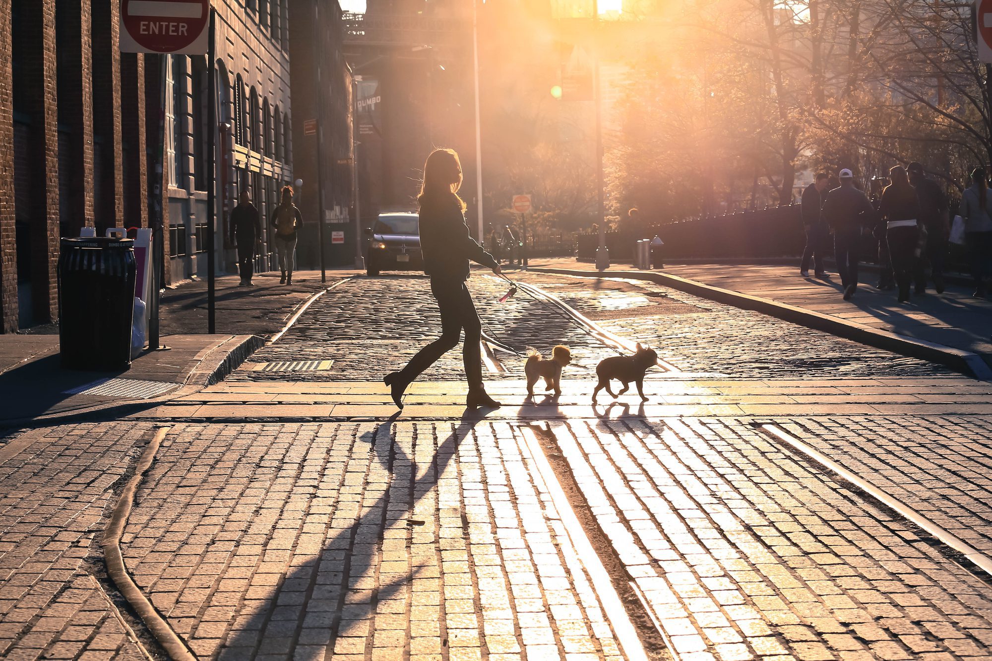 Woman With Dog At Sunset